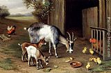 Edgar Hunt Canvas Paintings - Goats And Poultry